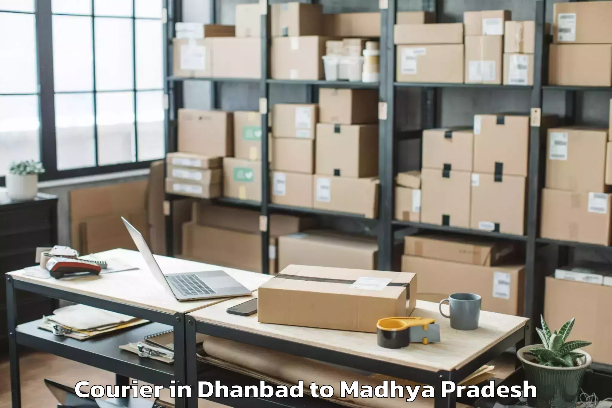 Easy Dhanbad to Daboh Courier Booking